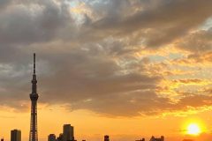 新型コロナウィルスの影響。。